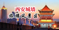 大鸡巴操美女AAA中国陕西-西安城墙旅游风景区